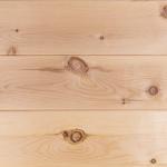 штиль хвоя в